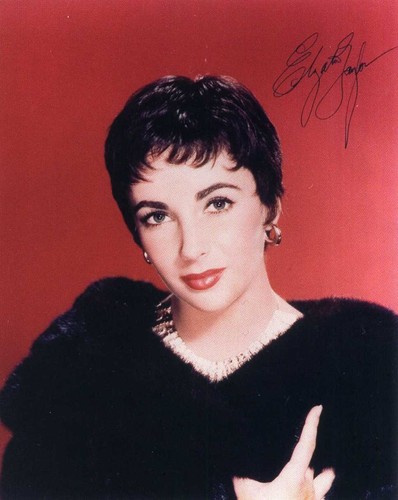 Elizabeth taylor signed - elizabeth,