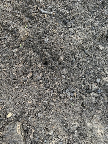 Organic horse manure - manure, well