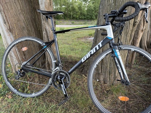 Giant men road bike aullx - road,