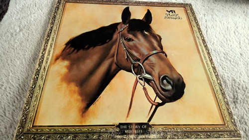 Story mill reef album - reef,