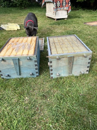 Flow hives bee - flow,