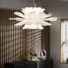 Unique Pendant Ceiling Light