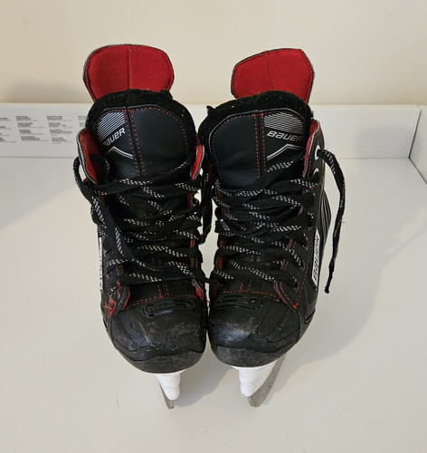 Bauer ice hockey - bauer,
