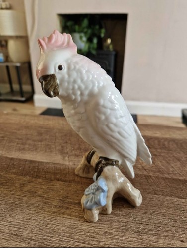 Royal dux cockatoo parrot - royal, /