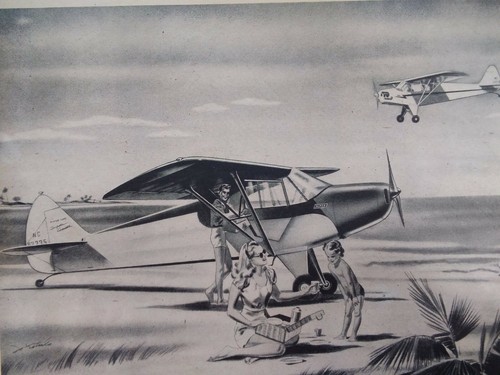 Piper cub plane print - piper,