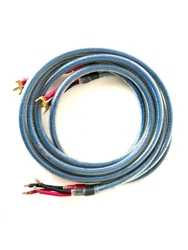 Straight wire rhapsody - wire,