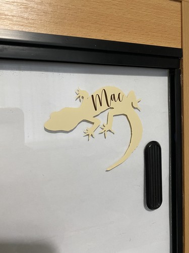 Personalised leopard gecko - personalised,