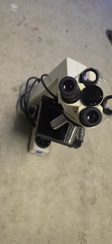 Zeiss standard laboratory - standard, 20