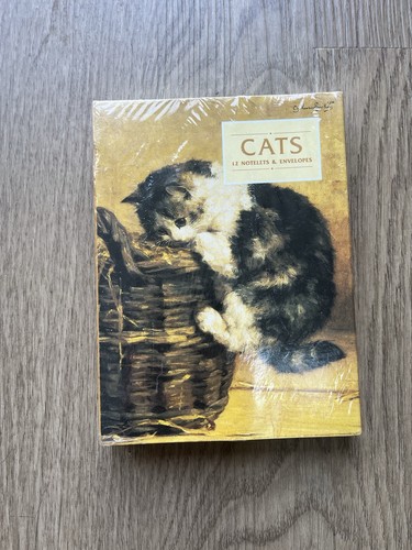 New studio designs cats - new,