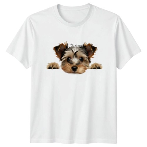 Peeking yorkshire terrier - yorkshire,