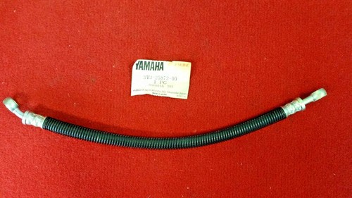 Yamaha tz125 81 - g/h, front