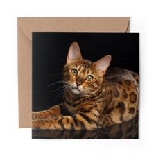 1 x Blank Greeting Card