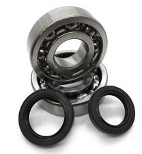 Crankshaft Bearing & Seal Kit