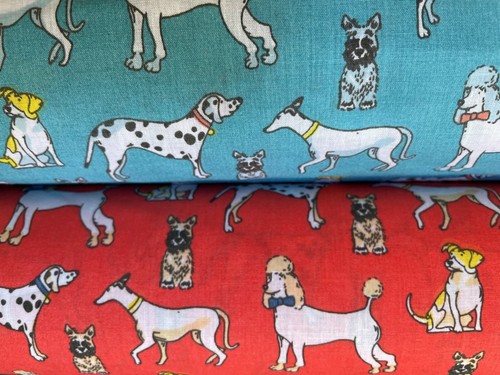 Poodles pointers westie dogs - poodles,