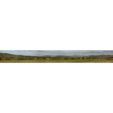 GAUGEMASTER Large Backscene -