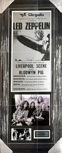 Led zeppelin robert plant - zeppelin, +