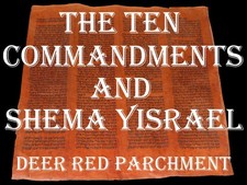 TORAH BIBLE VELLUM MANUSCRIPT