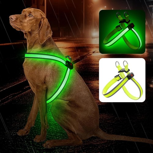 Led dog harness mesh - mesh, usb