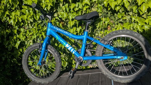 Ridgeback terrain kids - 16",