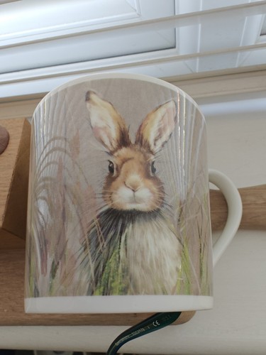 Next home rabbit hare - rabbit, or