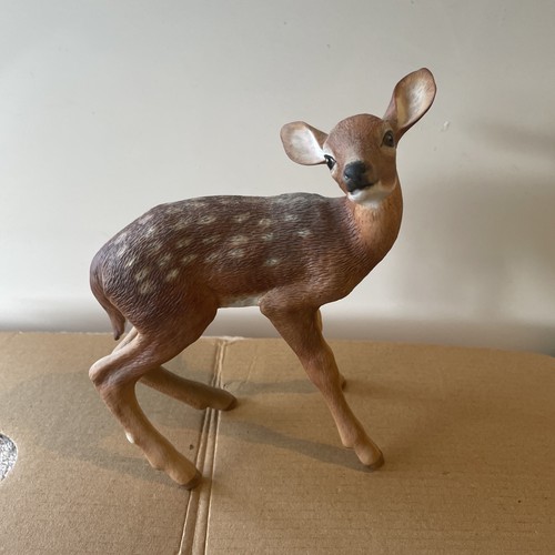 Lenox burmese brow antlered - burmese, brow-antlered