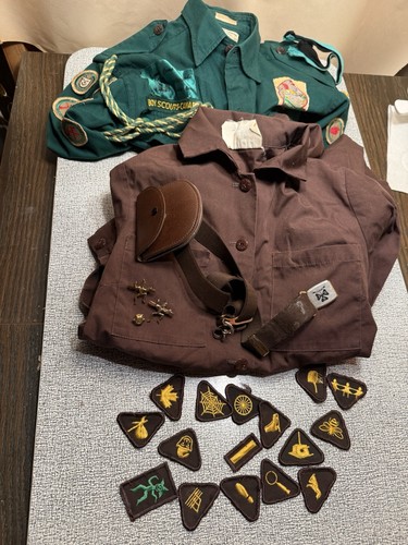 Boy scouts and brownies girl - boy,