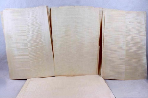 Guitar body veneered - x,