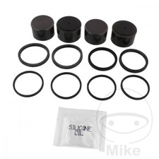 OEM Front Brake Caliper Seals