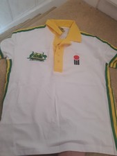australia world series cricket