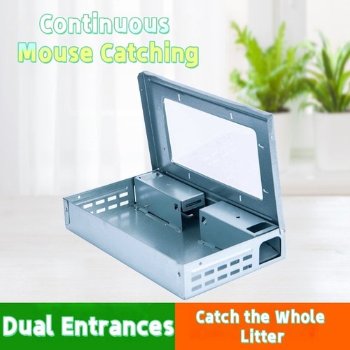 Continuous mouse trap - mouse, trap,