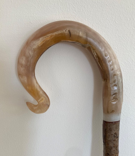 Rams horn crook handle stick - ,