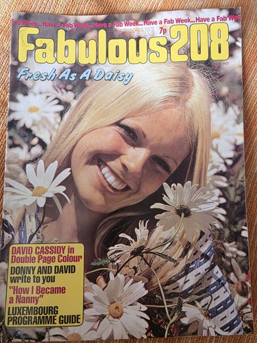Fabulous 208 magazine 20th - fabulous,