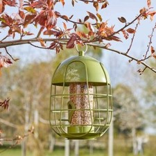 Acorn Squirrel Proof Bird Seed Feeder Chapelwood Smart Garden Bird Care