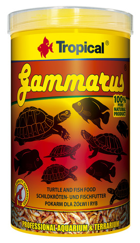 Turtle and fish food - food,
