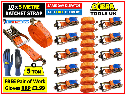 Heavy duty ratchet tie - 10,