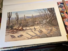 “Sonoran Desert - Gambel’s Quail” Signed & Numbered By Maynard Reece