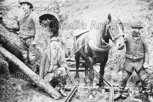 Pps pit pony - the, coal