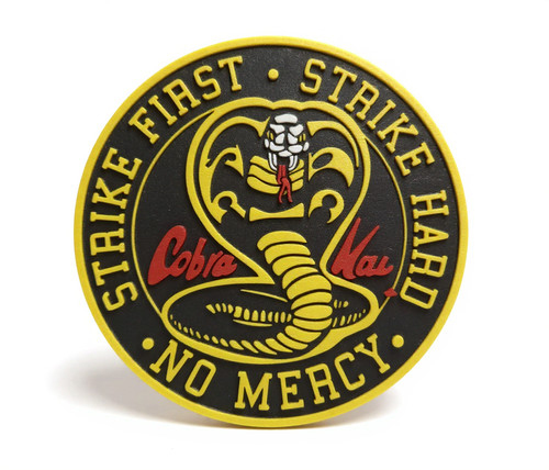 The karate kid cobra - karate,