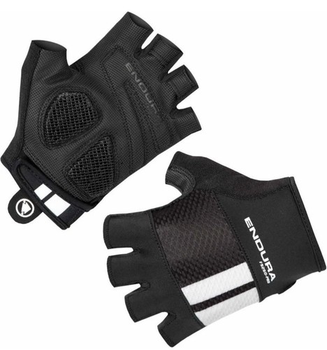 Endura fs260 pro aerogel - aerogel, ii
