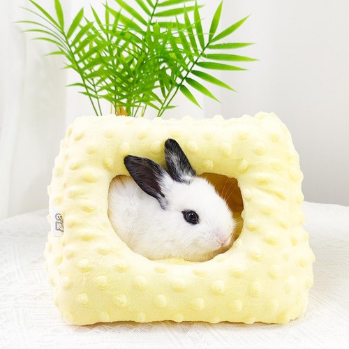 Small animal winter - animal, warm