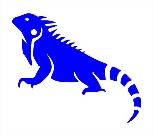 Iguana animal vinyl decal - vinyl,