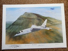 Tsr flight ron kirkby - flight, by