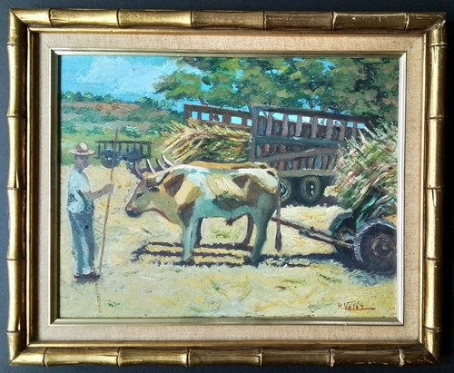 Vintage latin america farmer - latin,