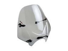 Puig Light Smoke Ranger Screen