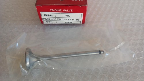 Intake valves inlet for - 4x,