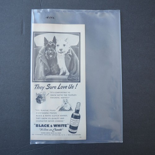 Black white blended - white, scotch