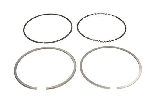 Piston ring set fits