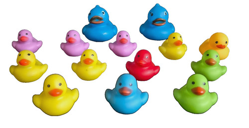 Assortment rubber ducks - of,