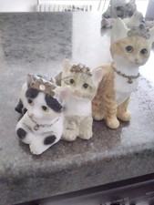 country artists cats