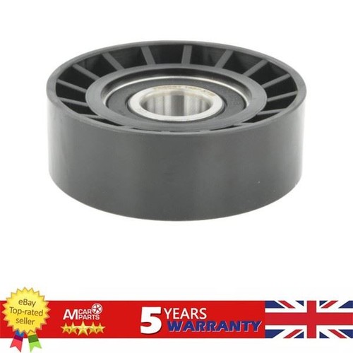 Ribbed belt tensioner - belt,